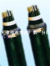 礦用電纜 煤礦專用控制電纜 mhya32礦用通信電纜 zr vvr阻燃通信電源電纜 鎧裝通信電纜hyat53 mkvvr礦用控制電纜 控制電纜kvvp2 kffp耐高溫控制電纜 djfpfp耐高溫計算機電纜 djypv計算機電纜 天津市電纜總廠第一分廠